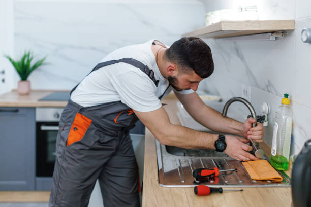 Best Plumbing Inspection Services  in Webster, SD