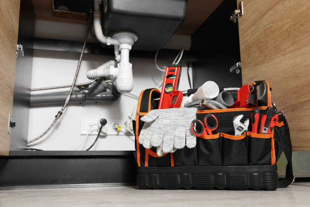 Best Clogged Drain Plumber  in Webster, SD