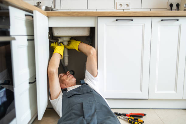 Best Plumbing Services Near Me  in Webster, SD